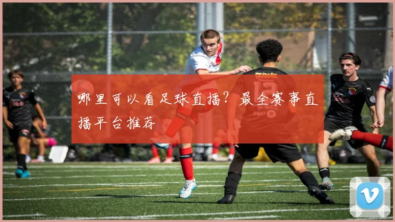 哪里可以看足球直播？最全赛事直播平台推荐