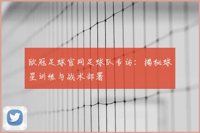 欧冠足球官网足球队专访：揭秘球星训练与战术部署