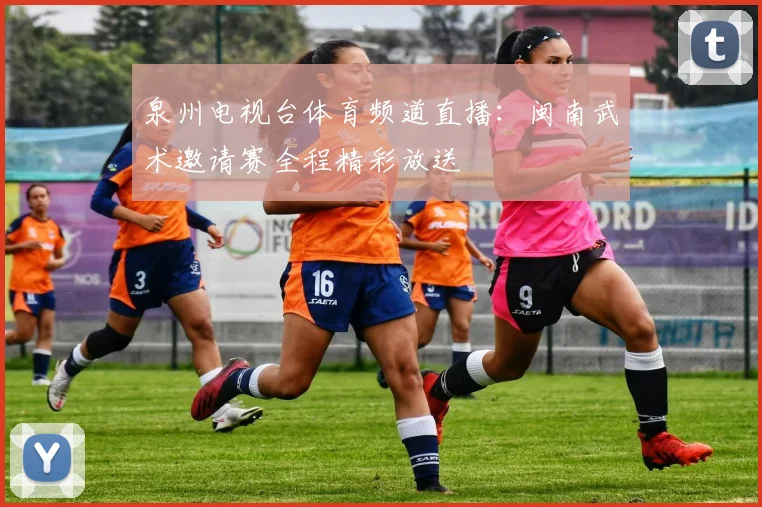 泉州电视台体育频道直播：闽南武术邀请赛全程精彩放送