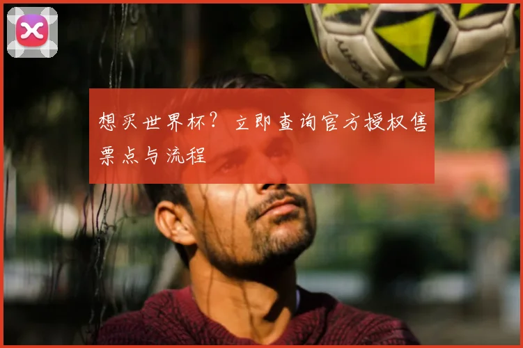 想买世界杯？立即查询官方授权售票点与流程