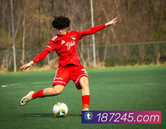 多终端兼容