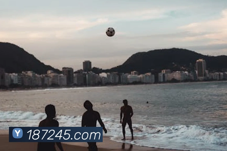 开云在线官方网站APP 封面图