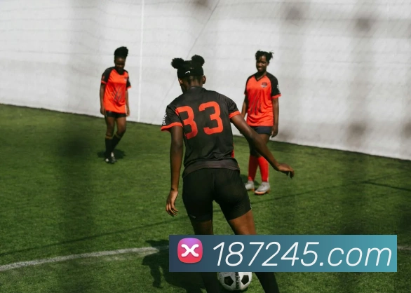 数据防护可视化